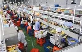 農(nóng)產(chǎn)品深加工