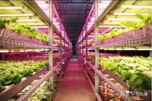 農(nóng)業(yè)上有什么問題,但還沒解決的嗎