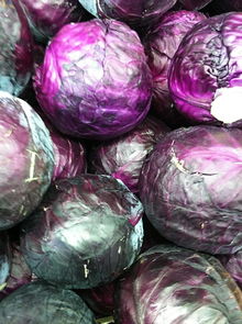 我國農(nóng)產(chǎn)品供應(yīng)鏈管理模式有哪些
