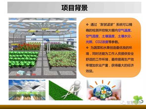 智慧溫室 手機(jī)上種菜 溫室里發(fā)財