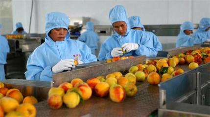 推進農(nóng)產(chǎn)品深加工 助力脫貧攻堅