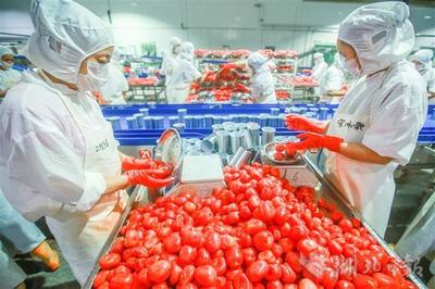 秭歸果蔬加工企業(yè)穩(wěn)外貿(mào)拓渠道