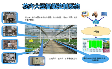 農(nóng)業(yè)項目概述,實現(xiàn)農(nóng)業(yè)生產(chǎn)與科技融合的創(chuàng)新之路