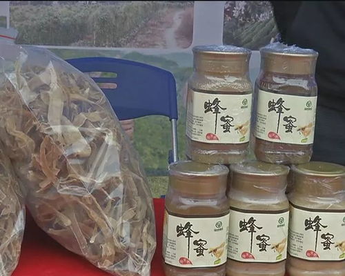 電商農(nóng)產(chǎn)品商紛紛借互聯(lián)網(wǎng) 農(nóng)產(chǎn)品采購會(huì)推介自己