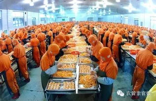 合作社福利 農(nóng)業(yè)部將加大扶持農(nóng)民合作社興辦
