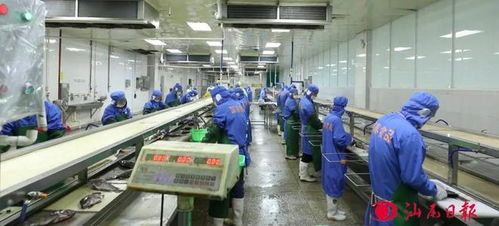打響汕尾特色品牌 我市大力推進(jìn)預(yù)制菜產(chǎn)業(yè)高質(zhì)量發(fā)展透視