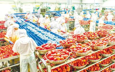 湖北規(guī)上農產品加工企業(yè)達4932家 農業(yè)產業(yè)鏈穩(wěn)步推進