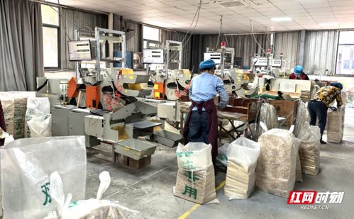 眾企拾柴火焰高 湘潭市工商聯 萬企興萬村 行動全是 干貨