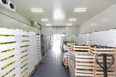 "農產品加工廠"搜索結果